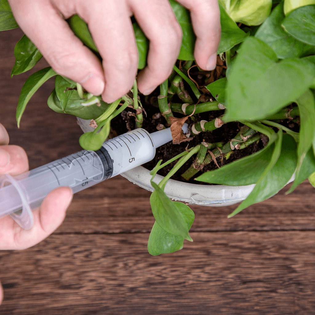 Large Caliber Plastic Syringe for Scientific Labs 6