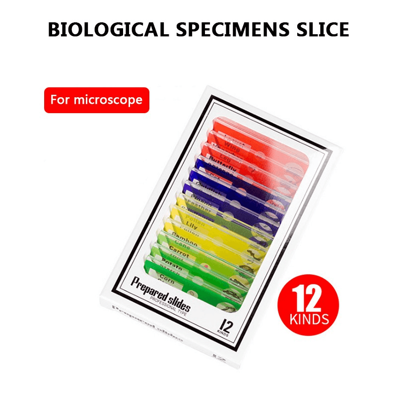 Prepared Microscope Slides Lab Biology Specimen 2