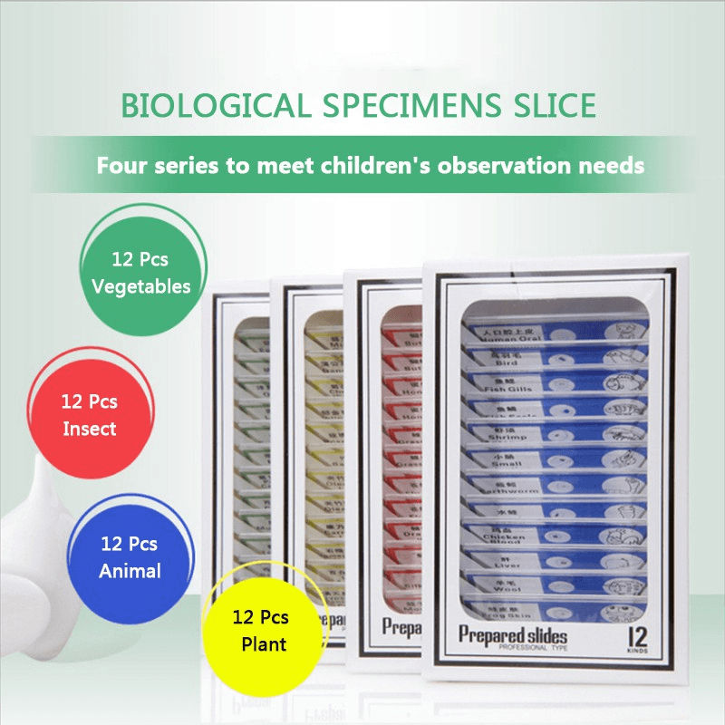 Prepared Microscope Slides Lab Biology Specimen 4