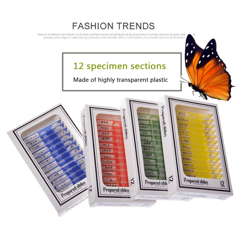 Prepared Microscope Slides Lab Biology Specimen 3