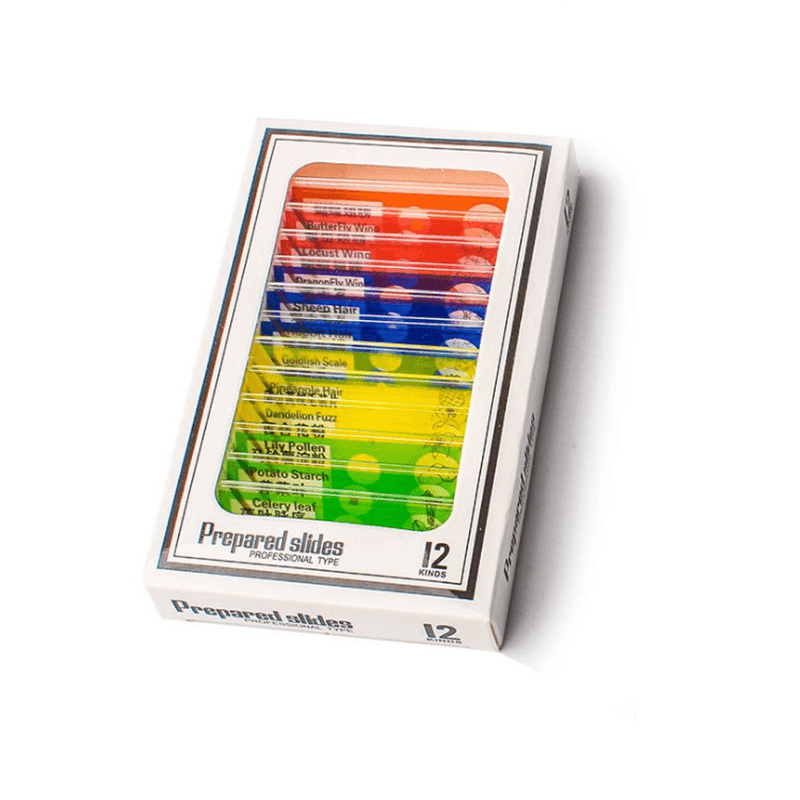 Prepared Microscope Slides Lab Biology Specimen 5