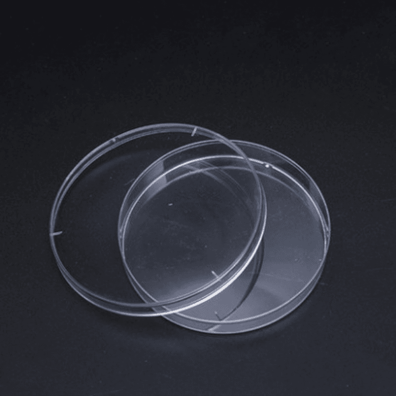 10Pcs Sterile Plastic Petri Dishes with Lid for School Science and Party Diameter 35/60/70/90/120/150mm 3