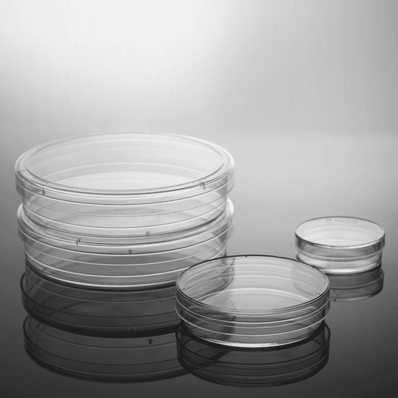 10Pcs Sterile Plastic Petri Dishes with Lid for School Science and Party Diameter 35/60/70/90/120/150mm 7