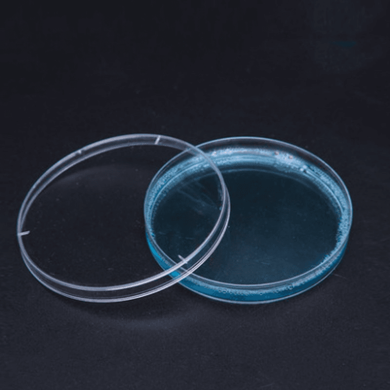 10Pcs Sterile Plastic Petri Dishes with Lid for School Science and Party Diameter 35/60/70/90/120/150mm 2