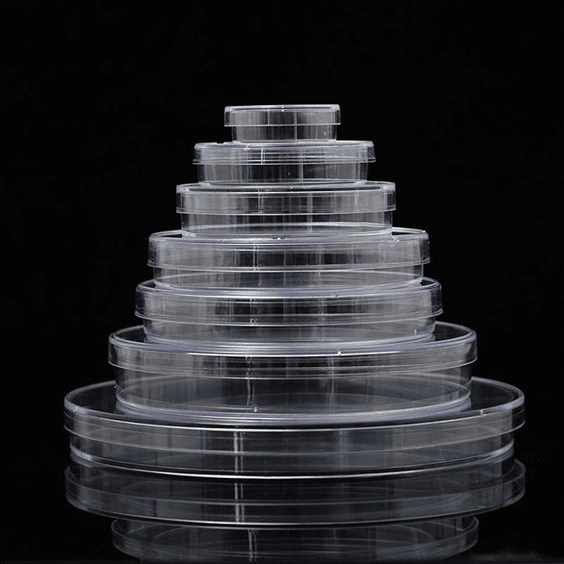 10Pcs Sterile Plastic Petri Dishes with Lid for School Science and Party Diameter 35/60/70/90/120/150mm 5
