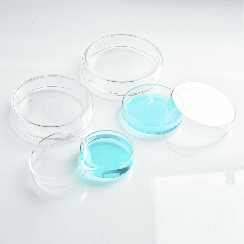 Sterile Petri Dishes with Lid Borosilicate Glass for Lab Plate Bacterial Yeast Diameter 60/75/90/100/120/150mm